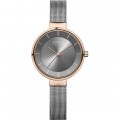 BERING "Slim solar Collection" 14631-369 